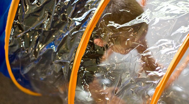 Ein Kind krabbelt durch einen Spieltunnel
