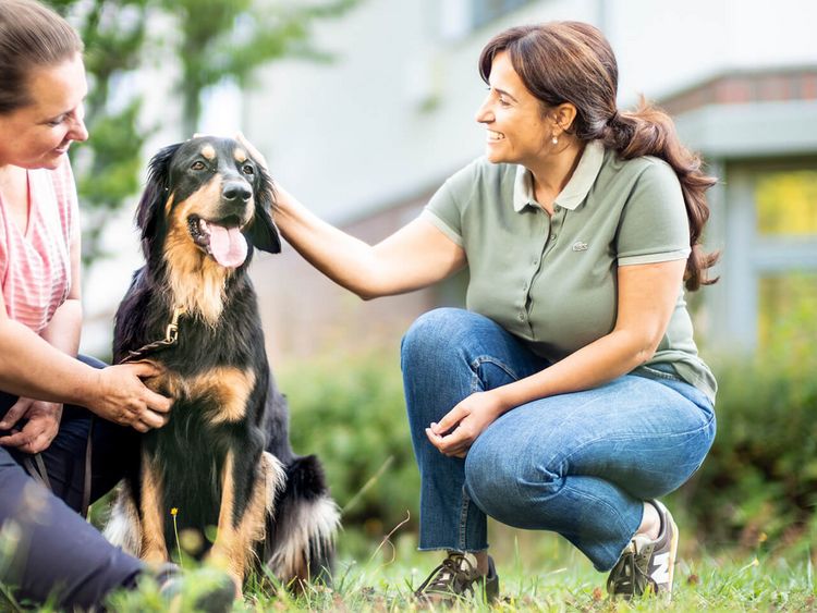 Der Therapiehund ist zu Besuch und erfreut unsere Patientin und Therapeutin