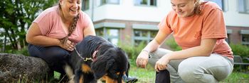 Der Therapiehund ist zu Besuch und erfreut unsere Patientin und Therapeutin